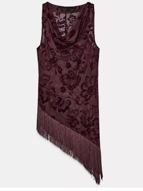 Zara Asymmetric Fringe Burgundy Top